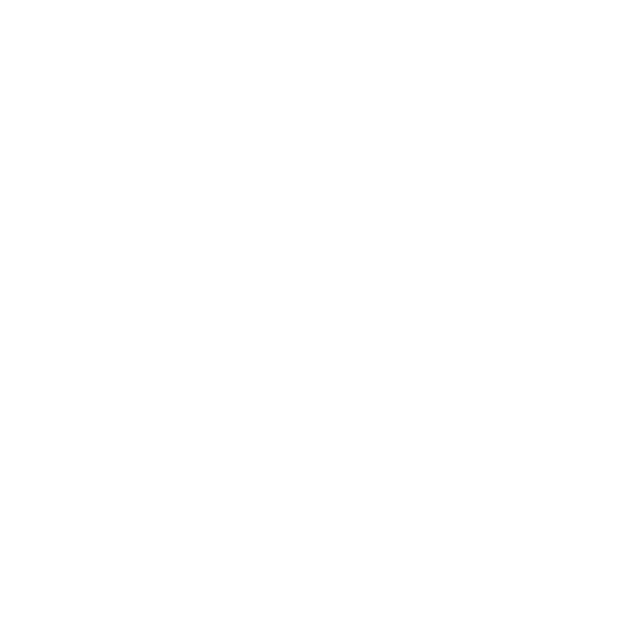 Darc Sport Wolf